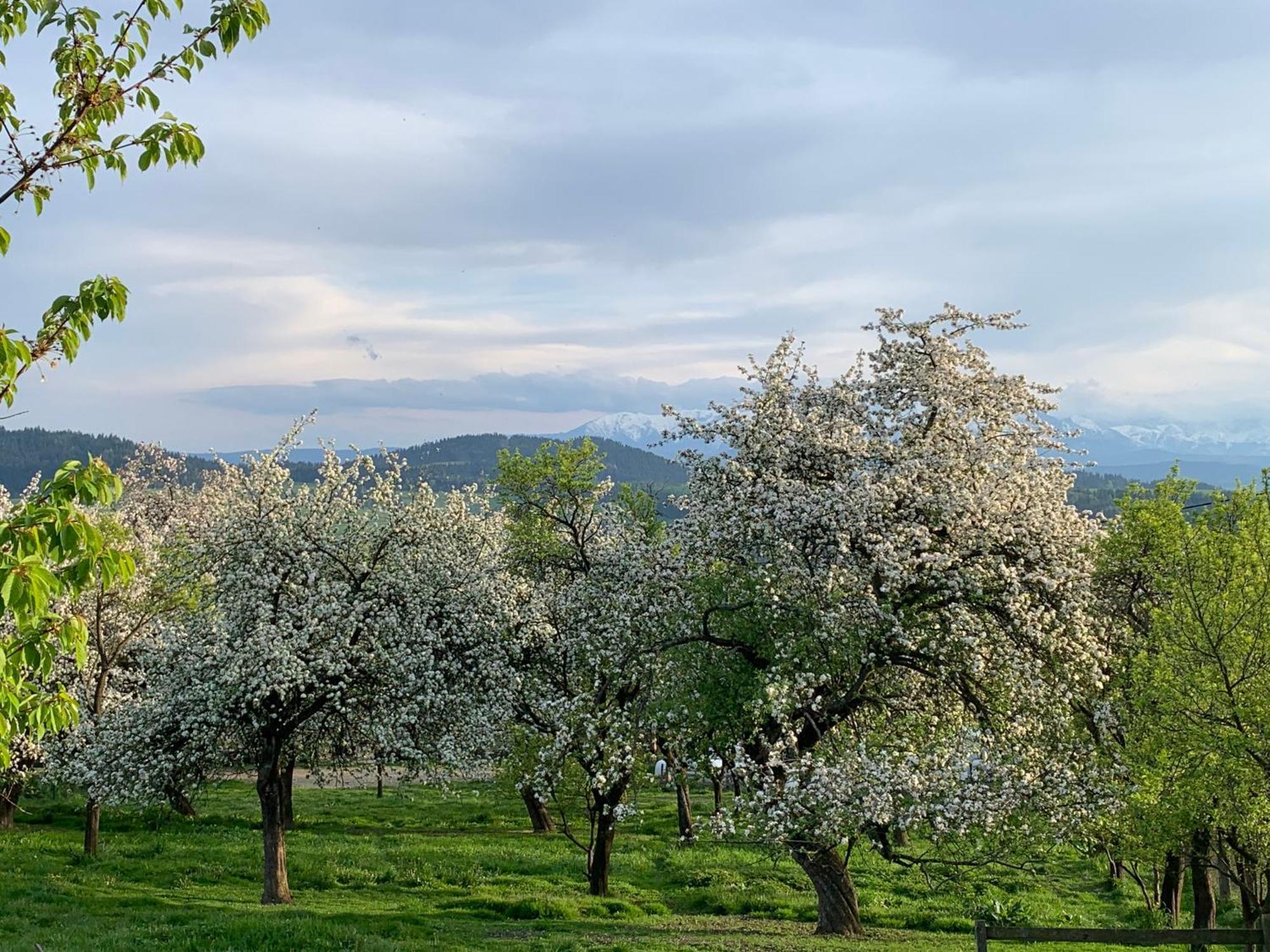 Aura Home Grywald Exteriér fotografie